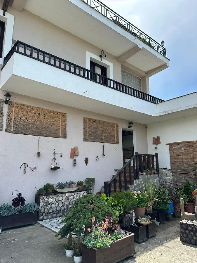 Bed & Breakfast Local Living Edi Berat